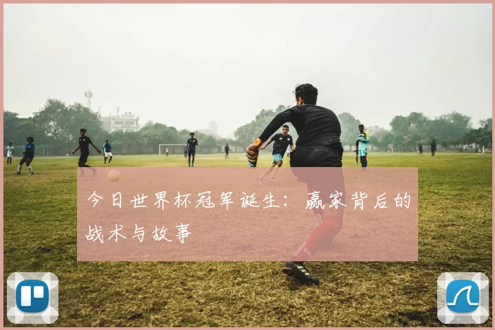 今日世界杯冠军诞生：赢家背后的战术与故事