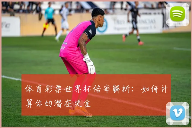 体育彩票世界杯倍率解析：如何计算你的潜在奖金
