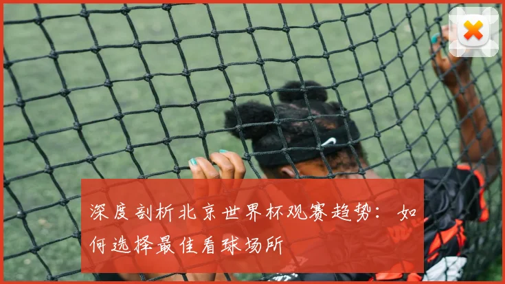 深度剖析北京世界杯观赛趋势：如何选择最佳看球场所