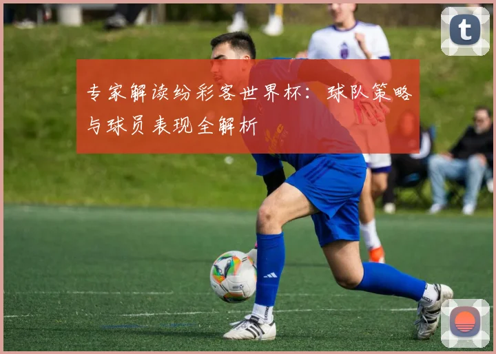 专家解读纷彩客世界杯：球队策略与球员表现全解析